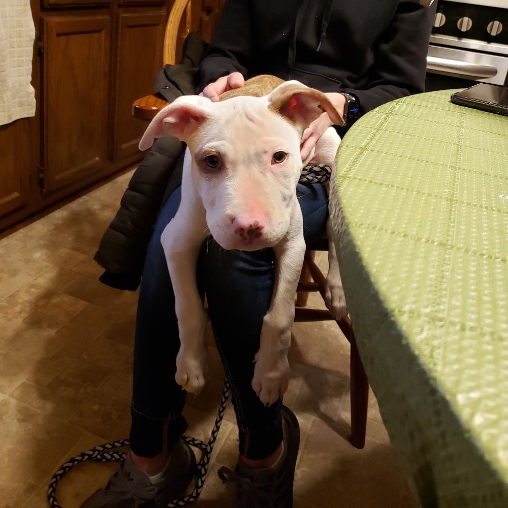 Meet your Posher, Brian